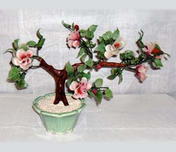 bonsai_felicita